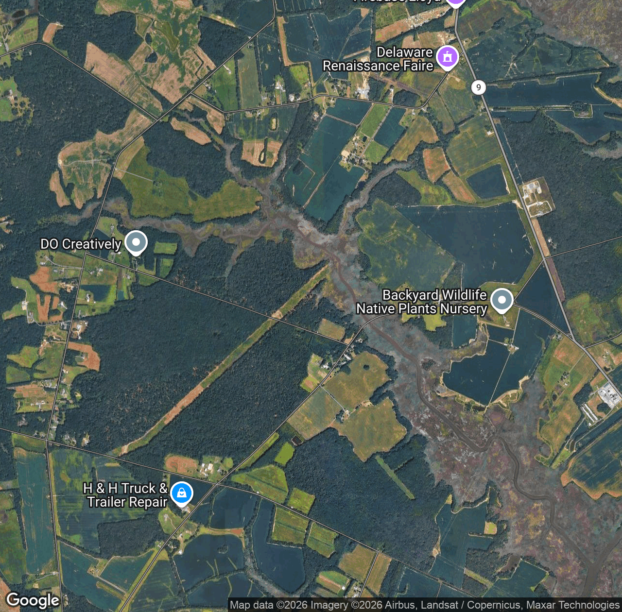 Sawmill Branch