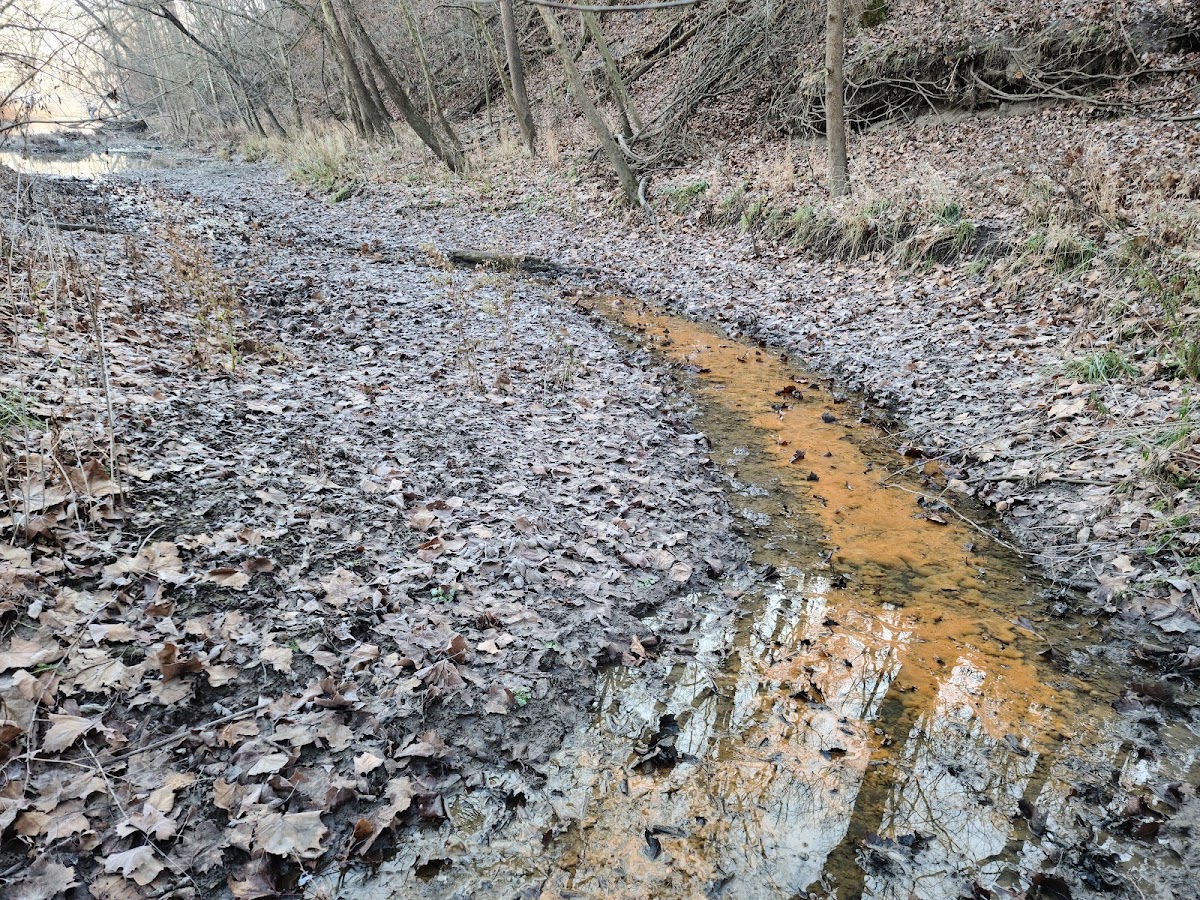 Moniteau Creek