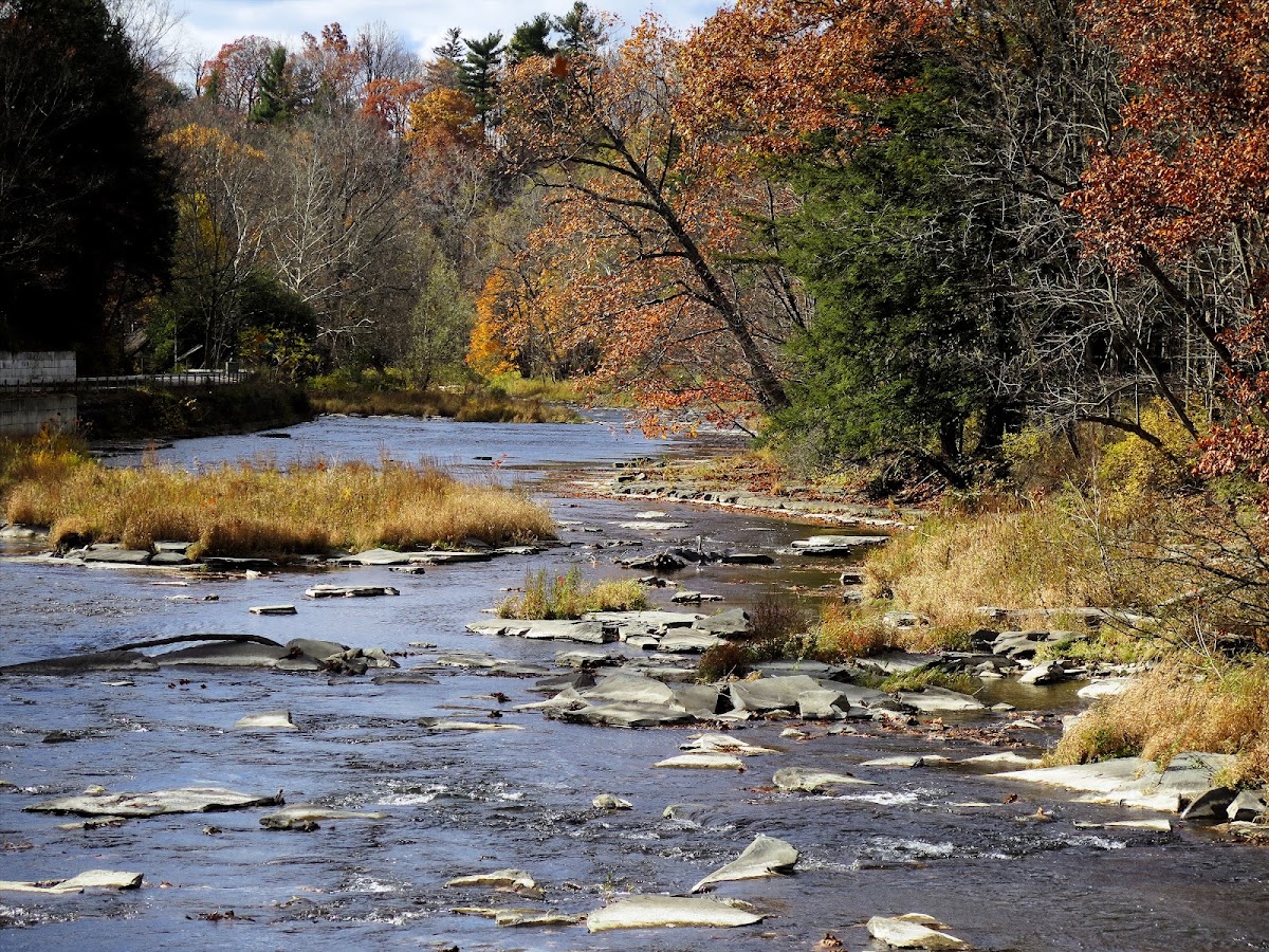 Fall Creek