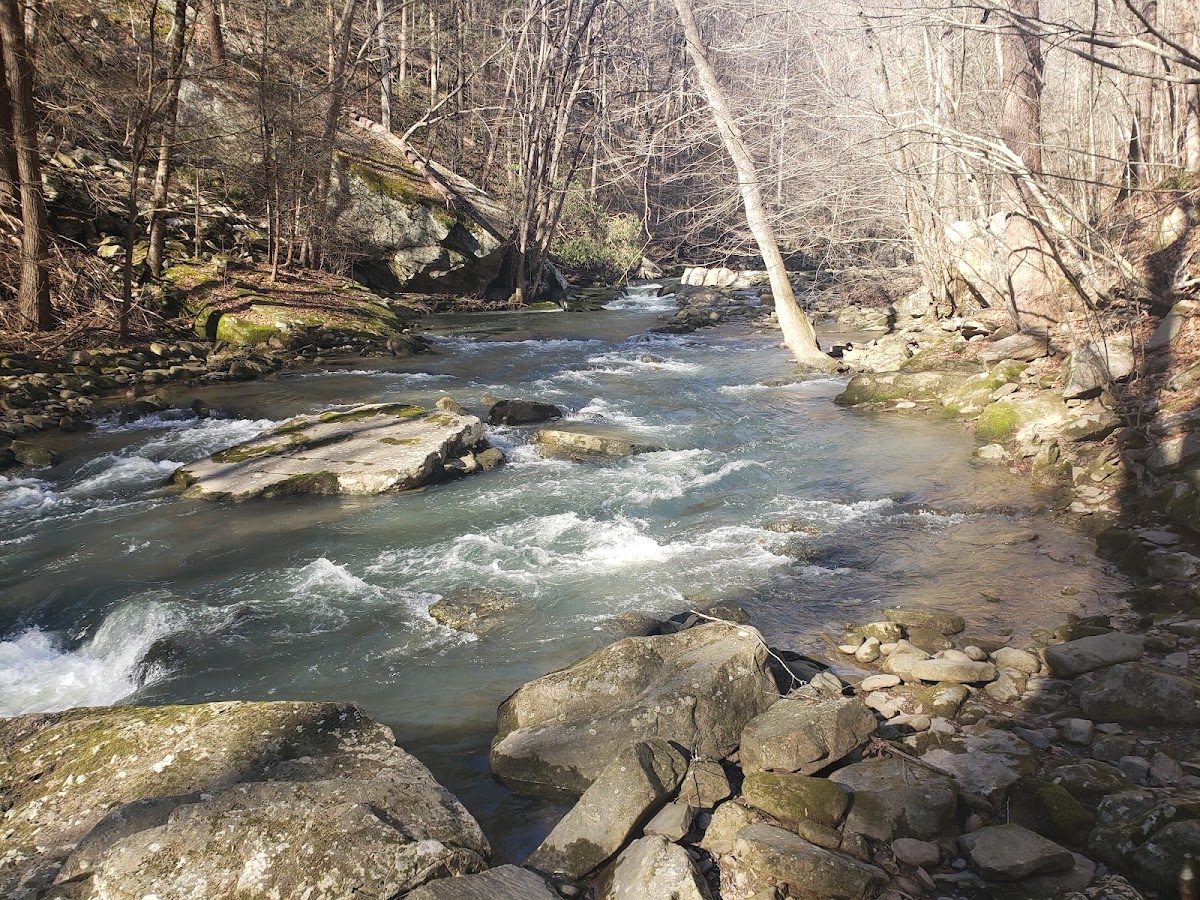 Graysville Mountain Resource Management Area