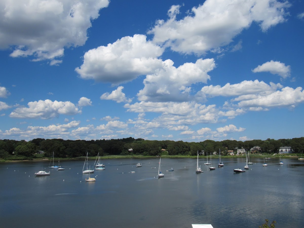 Apponaug Cove