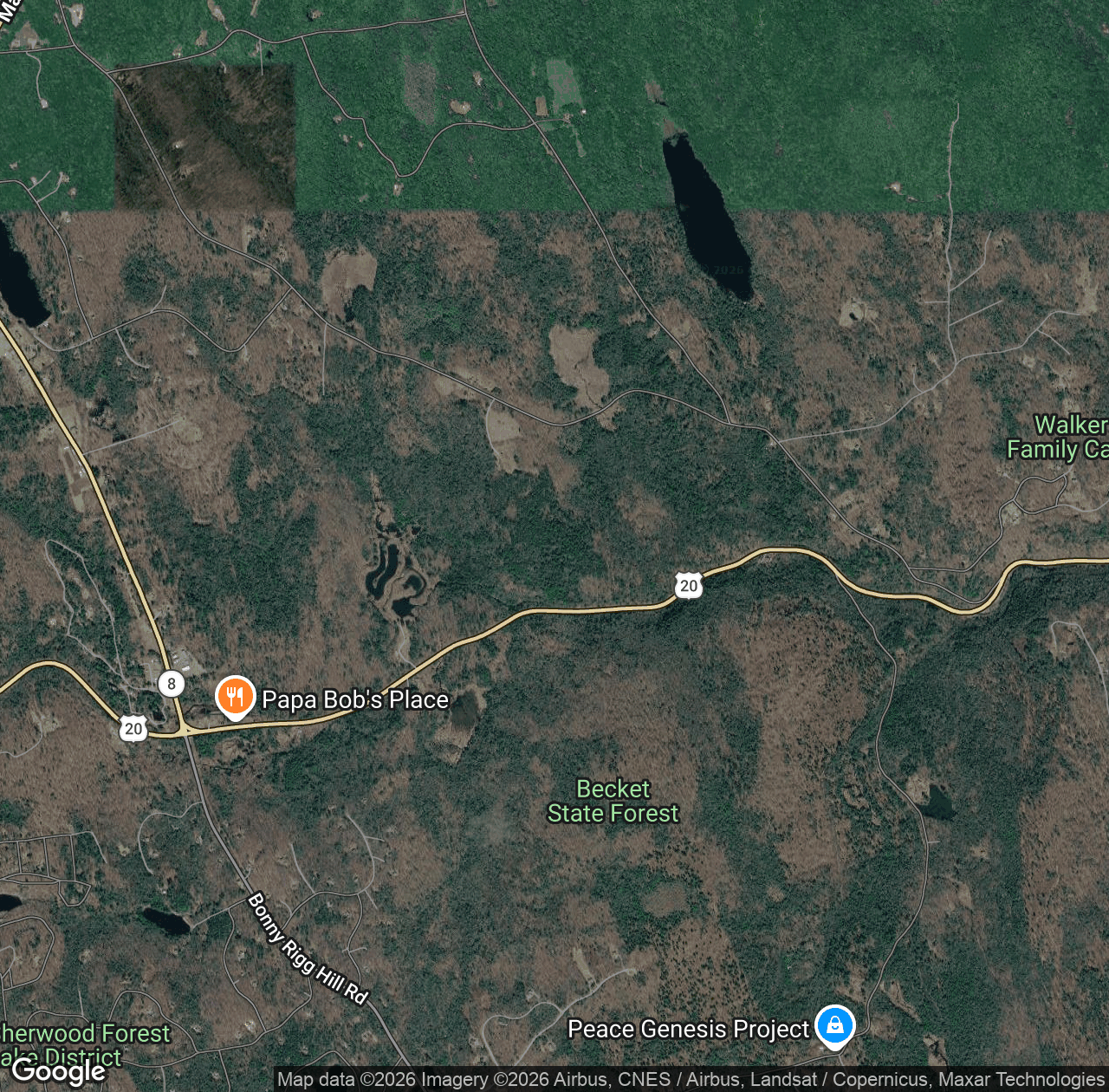 Becket State Forest