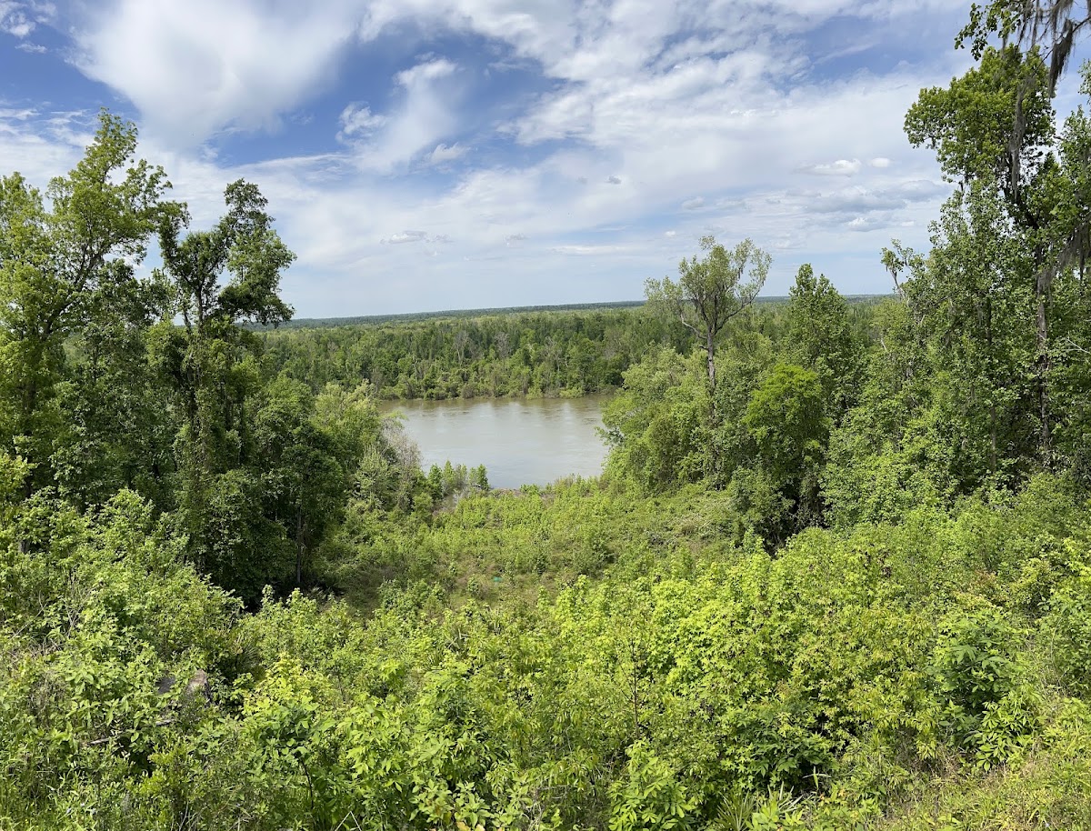 Torreya State Park