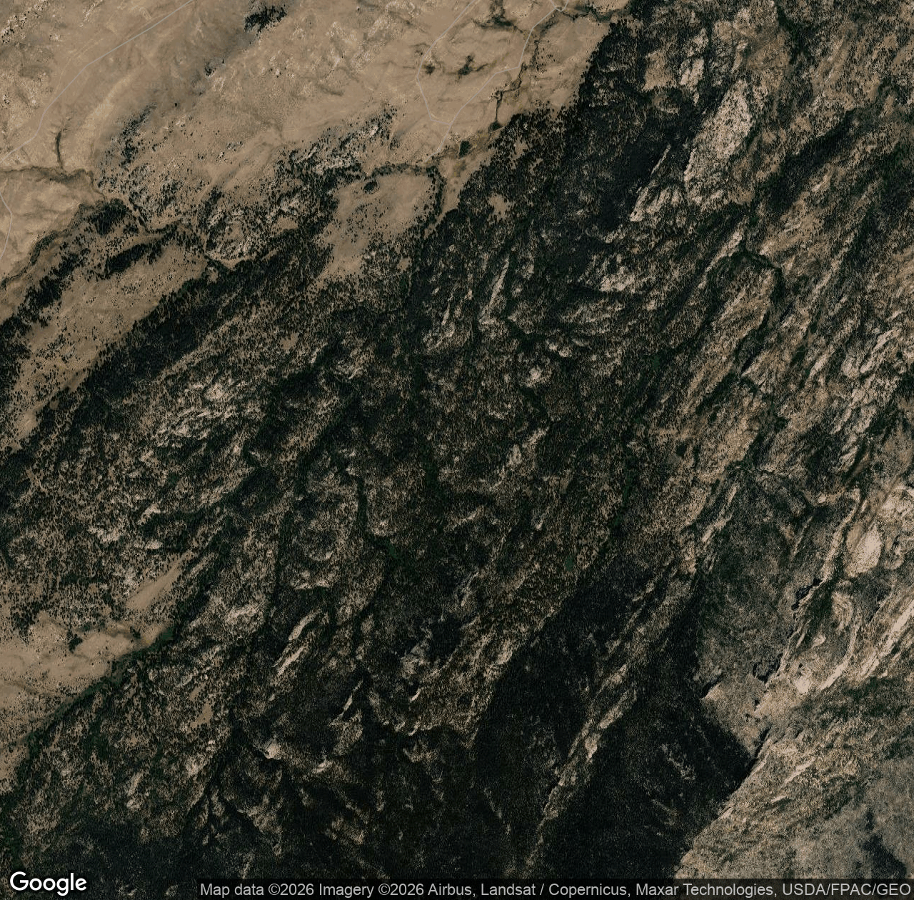 Roaring Fork Creek Road