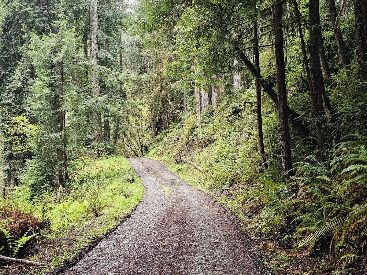 Lost Man Creek Picnic Area