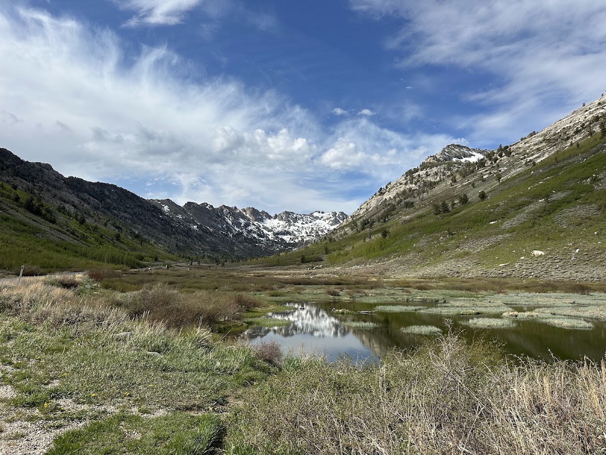 Talbot Creek Trail