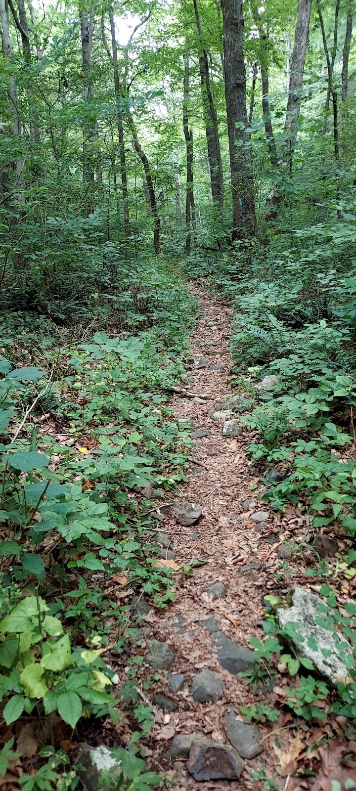 Jeremys Run Trail