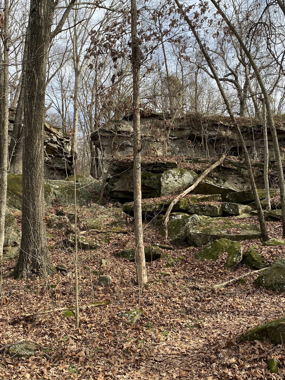 Lincoln Lake Loop