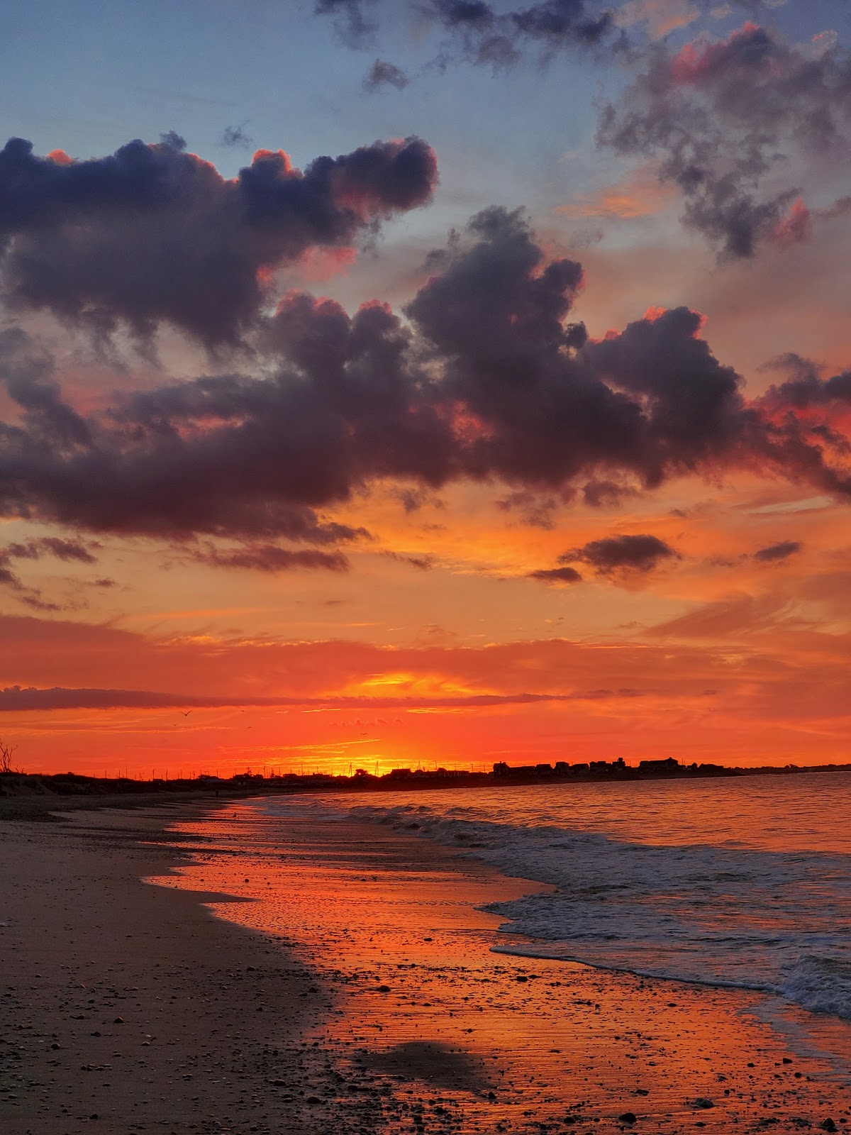 Roy Carpenter's Beach