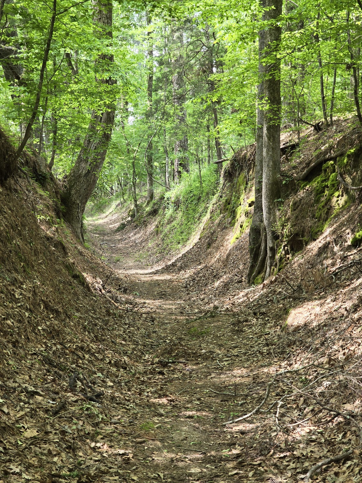 Potkopinu Trail