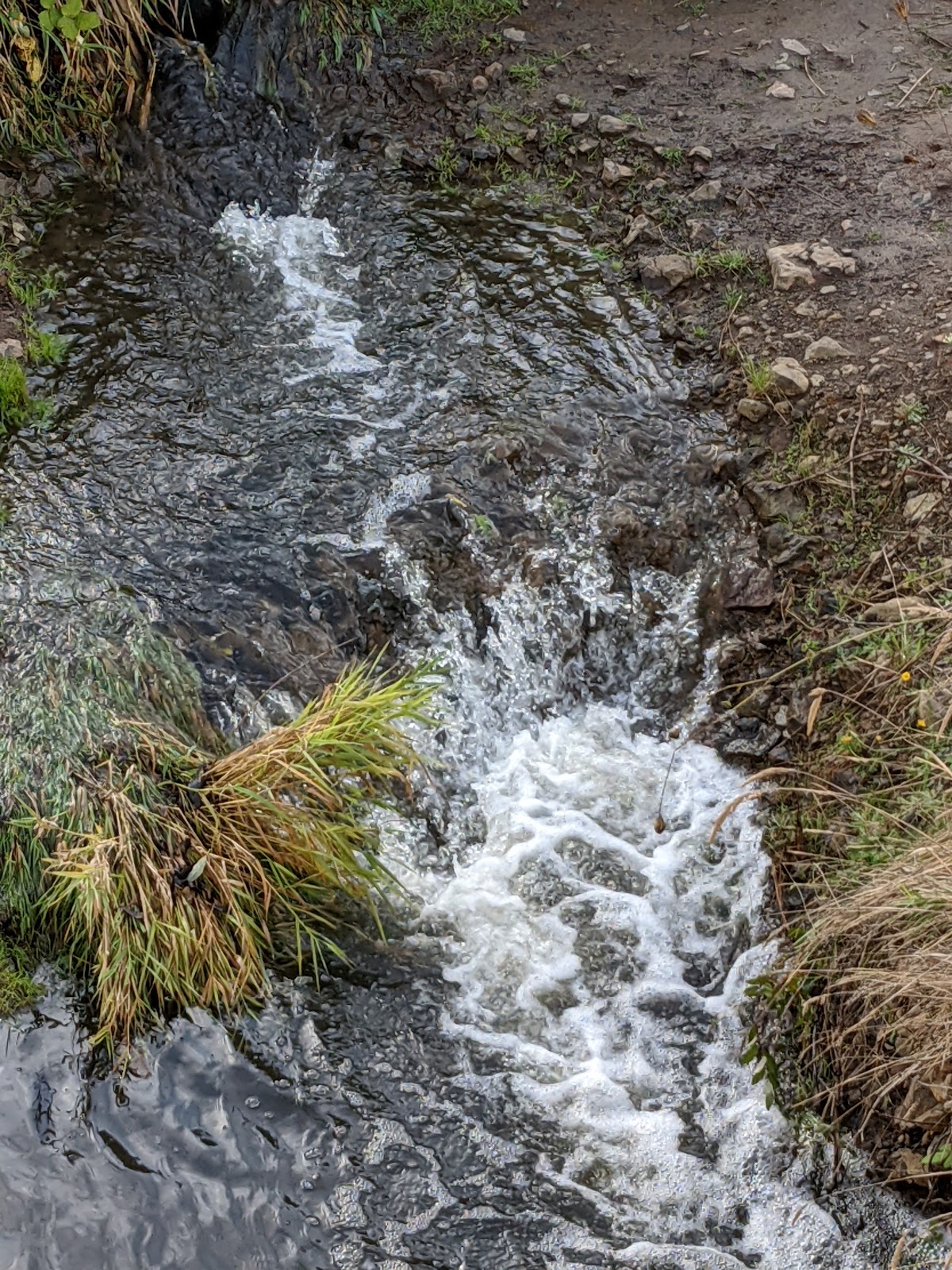 Westside Linear Park