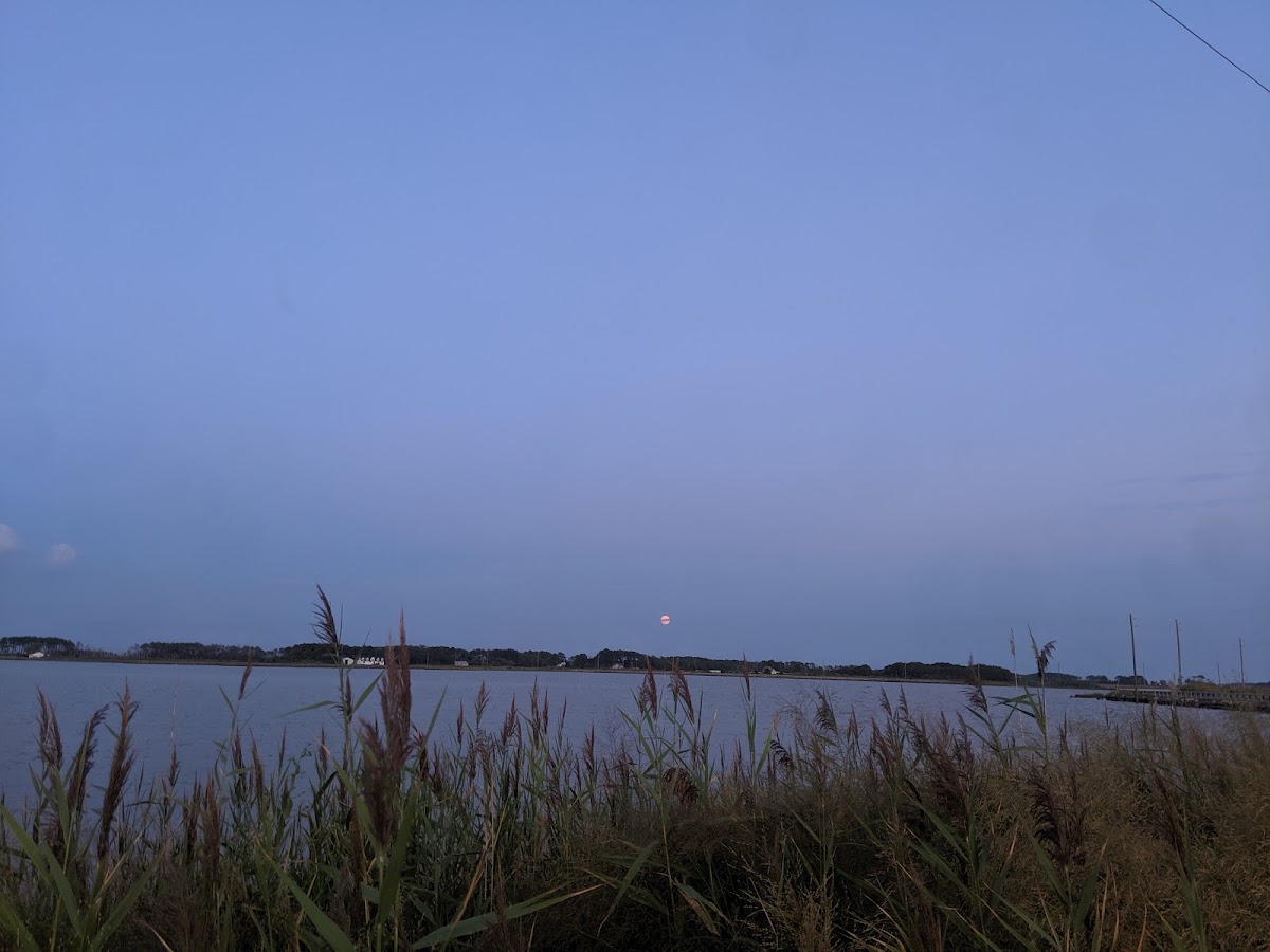 Honga River
