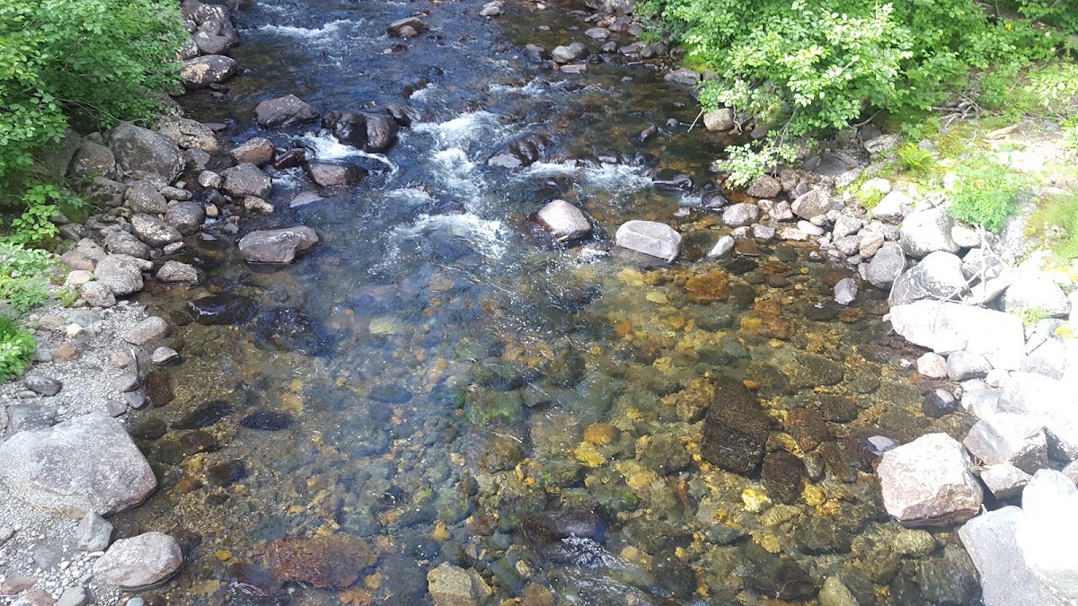 West Fork Yaak River