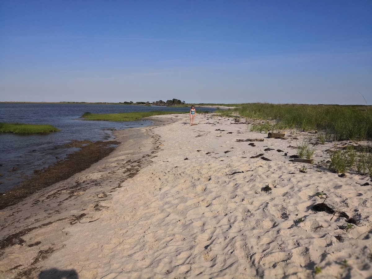 Dameron Marsh Natural Area Preserve
