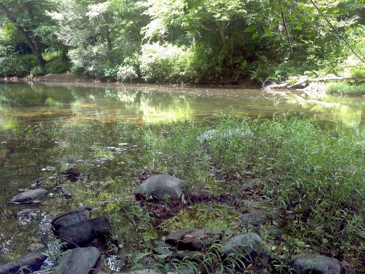 Obed River