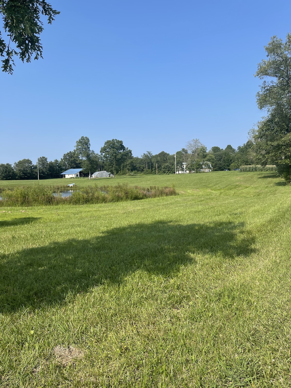 White Creek