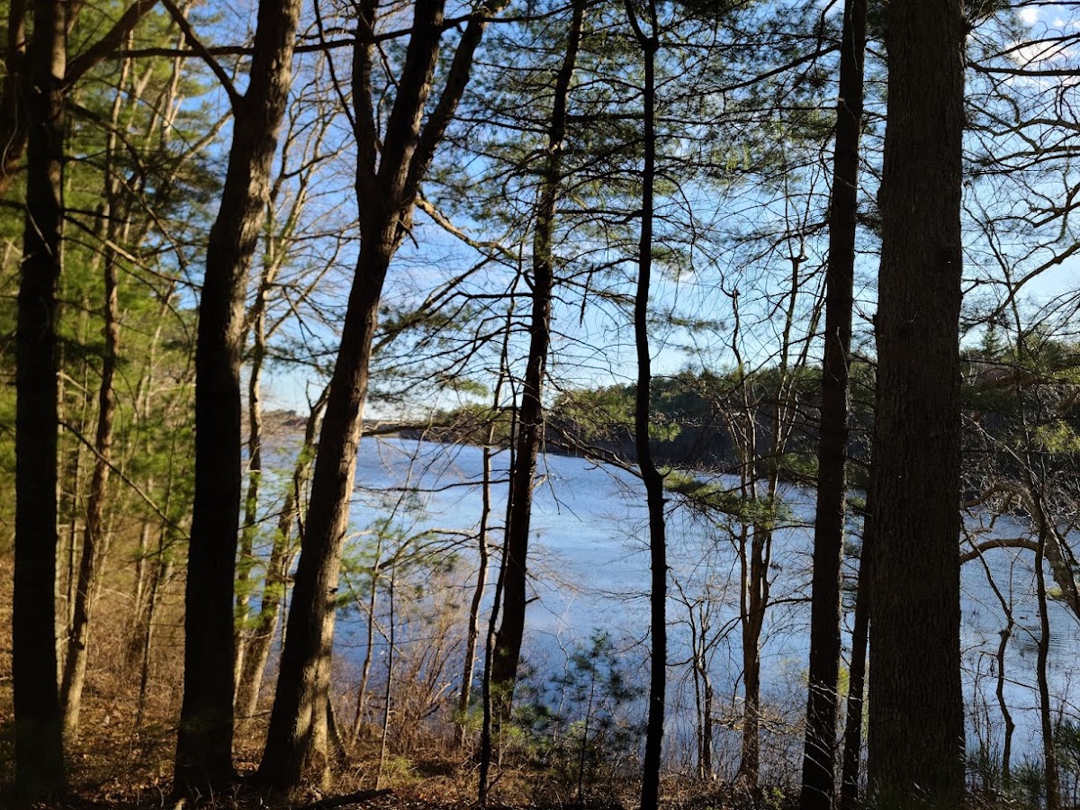 Wheaton Farm Management Area