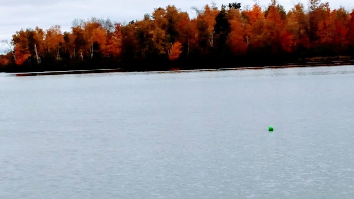Fishtrap Lake