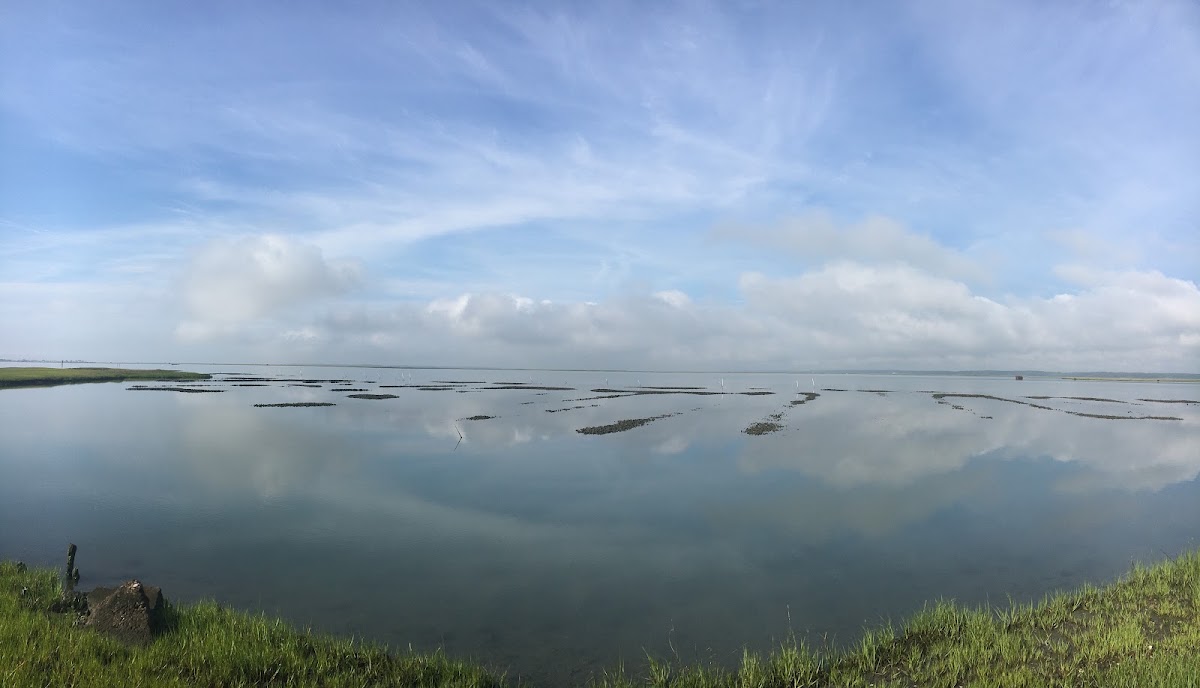 Chincoteague Bay