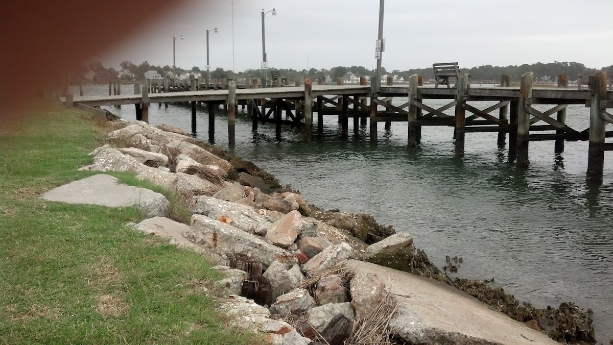 Toms Cove