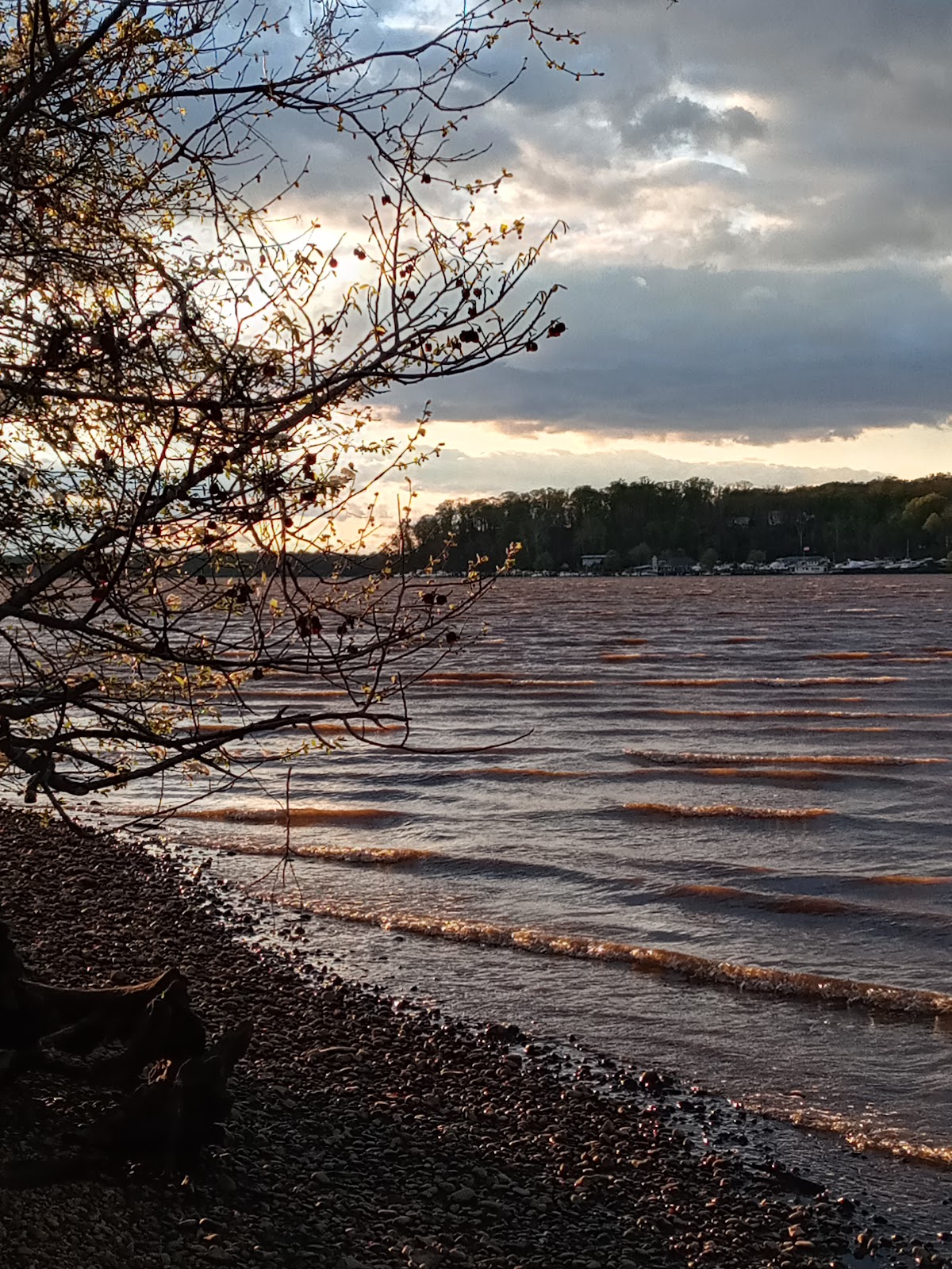 Piscataway Creek