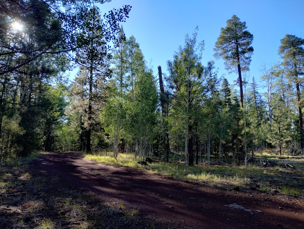 Big Lake Recreation Area