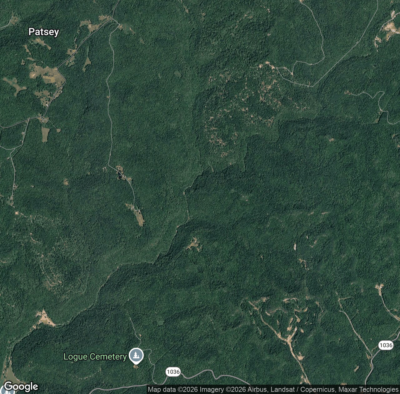 Billey Fork