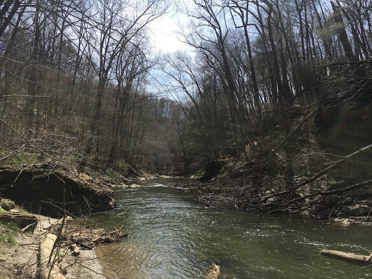 Pequea Creek