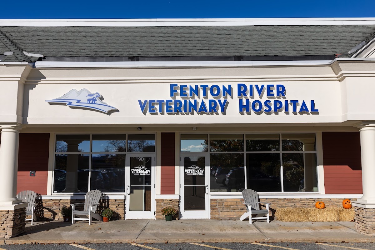 Fenton River
