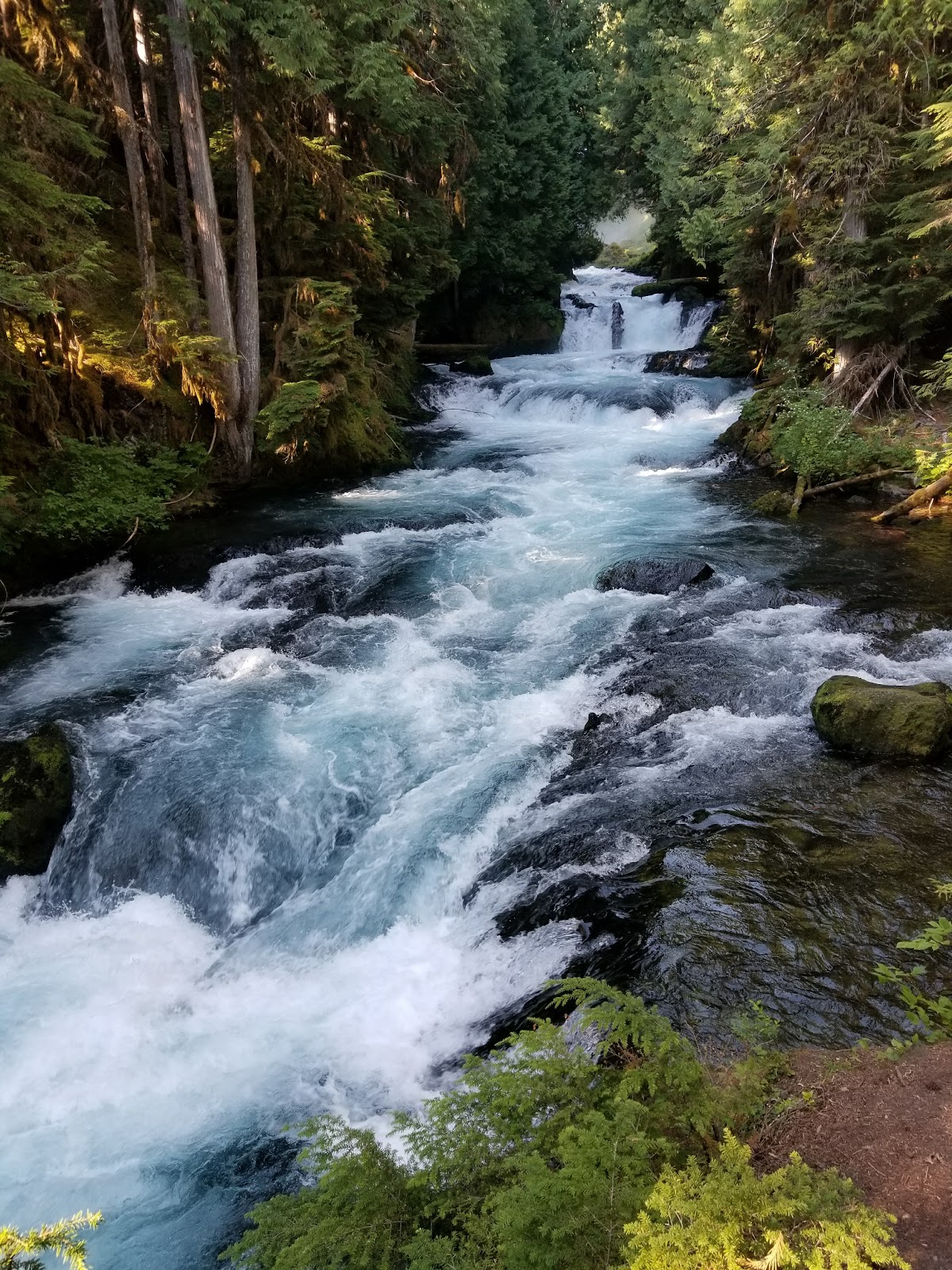 McKenzie River