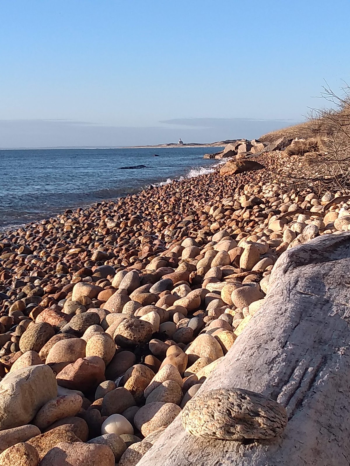 West Beach