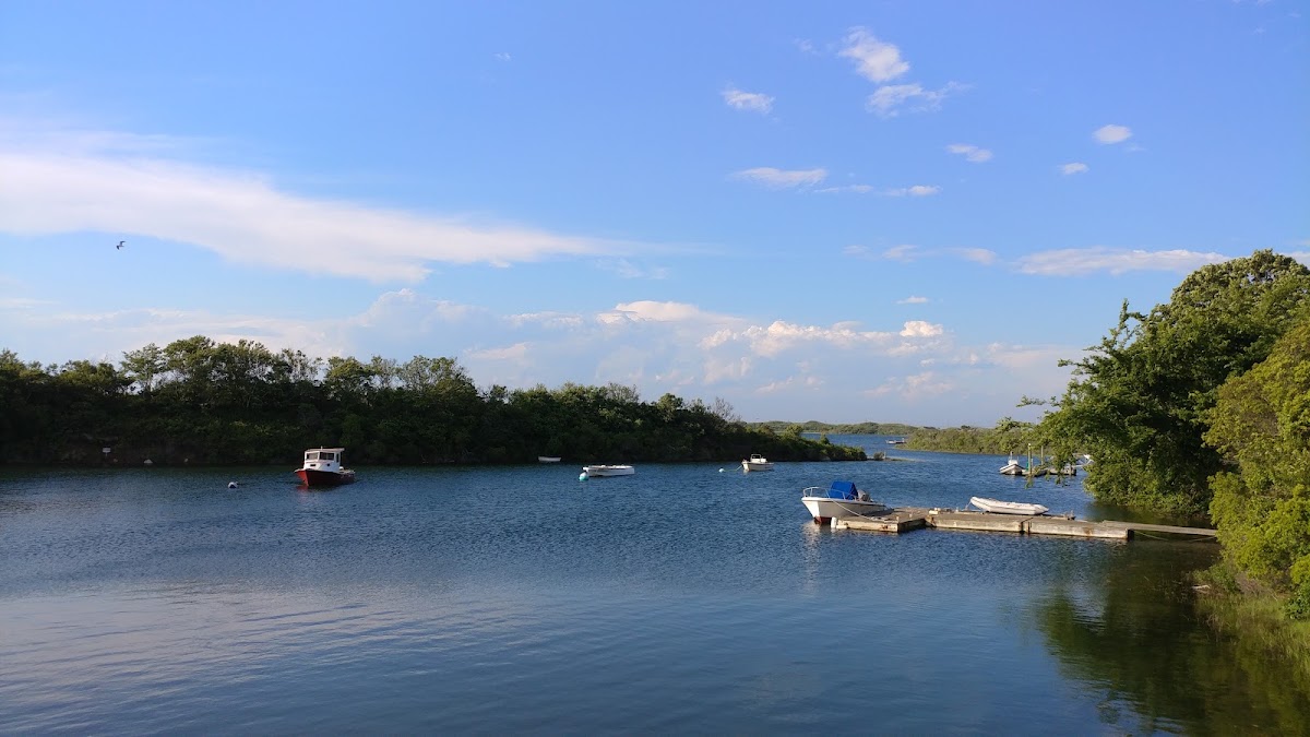 Harbor Pond