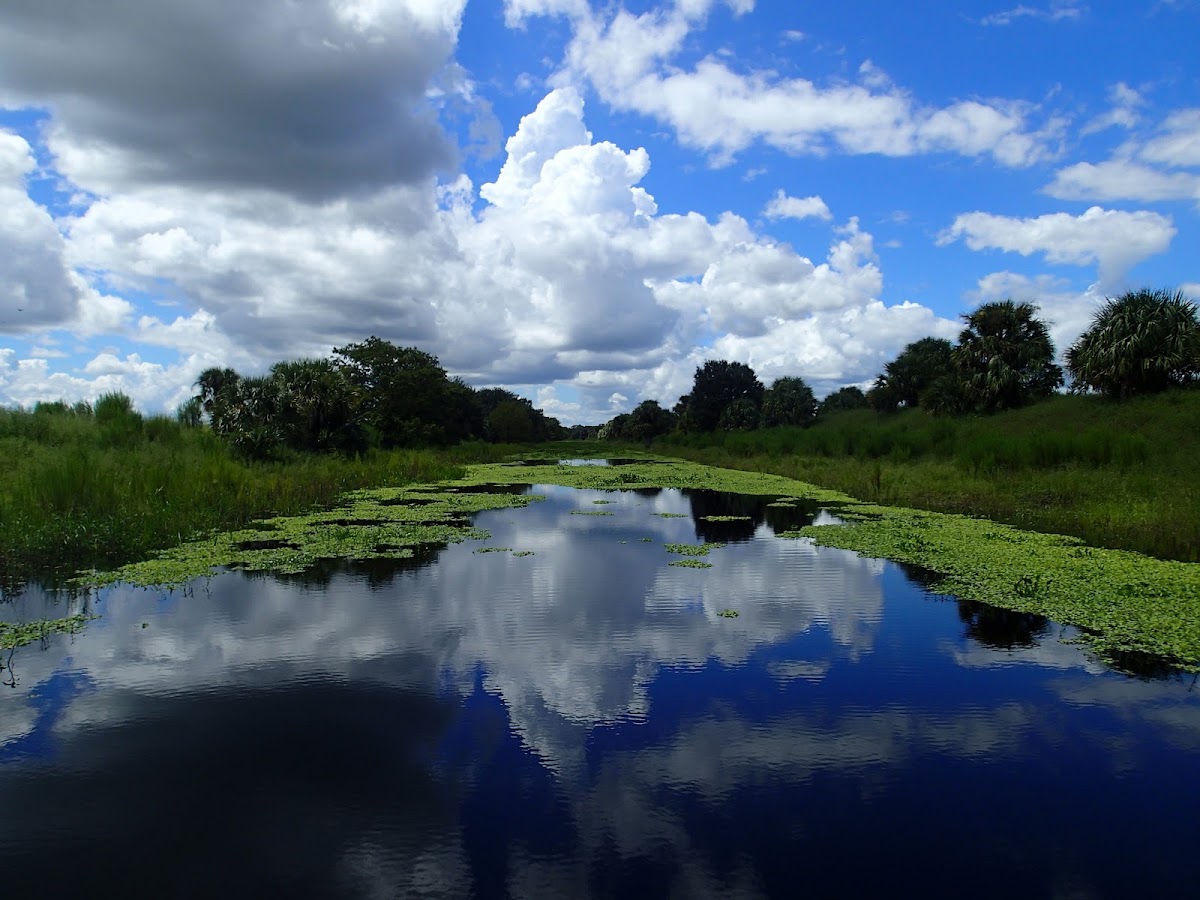 Saint Johns River
