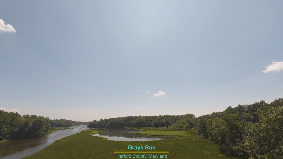 Grays Run