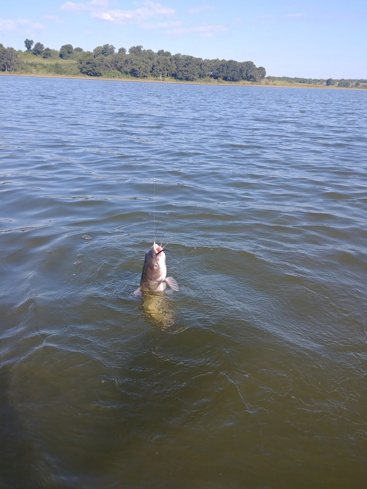 Mannford Reservoir