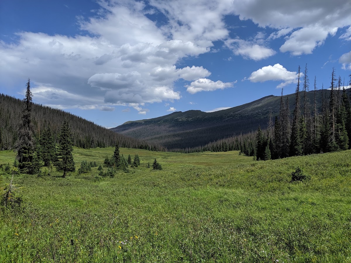 Chapin Pass Trail - Lower Fork