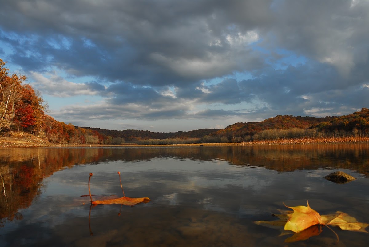 Wing Haven - Acres Land Trust