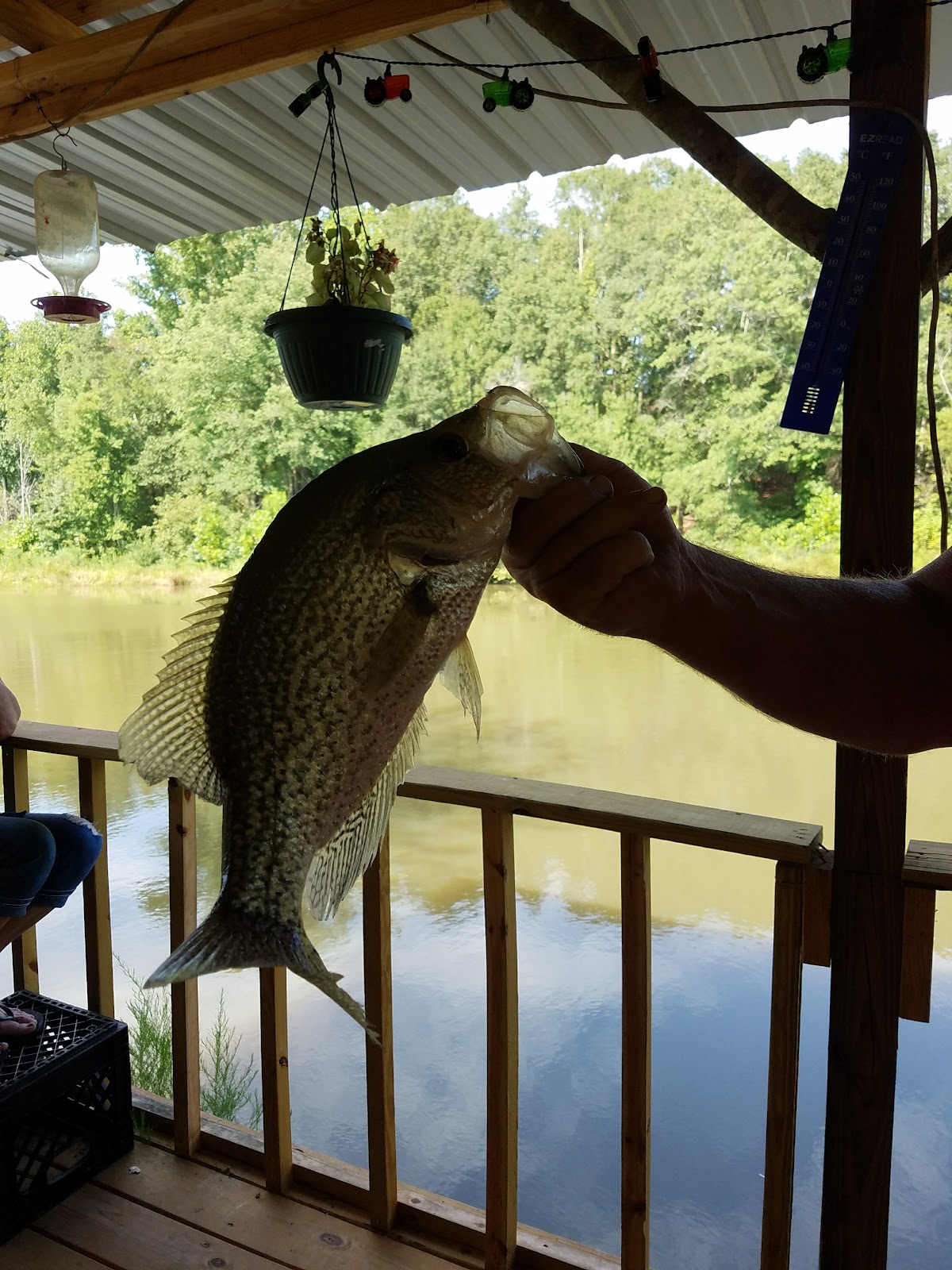 North Fork Broad River