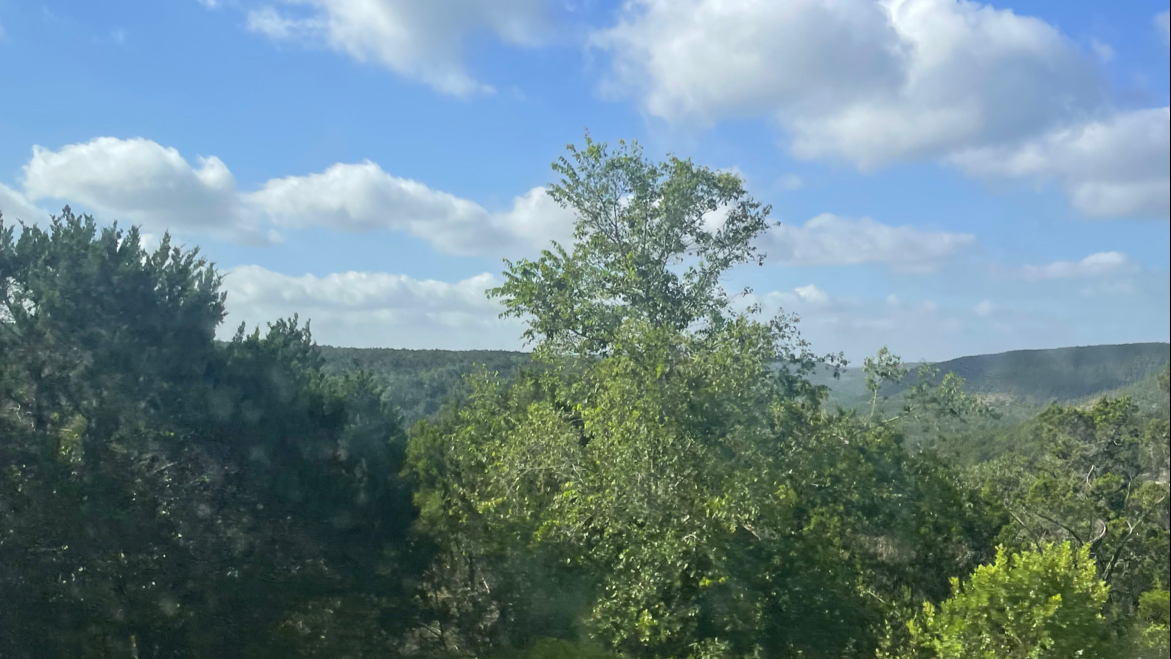 Raccoon Creek