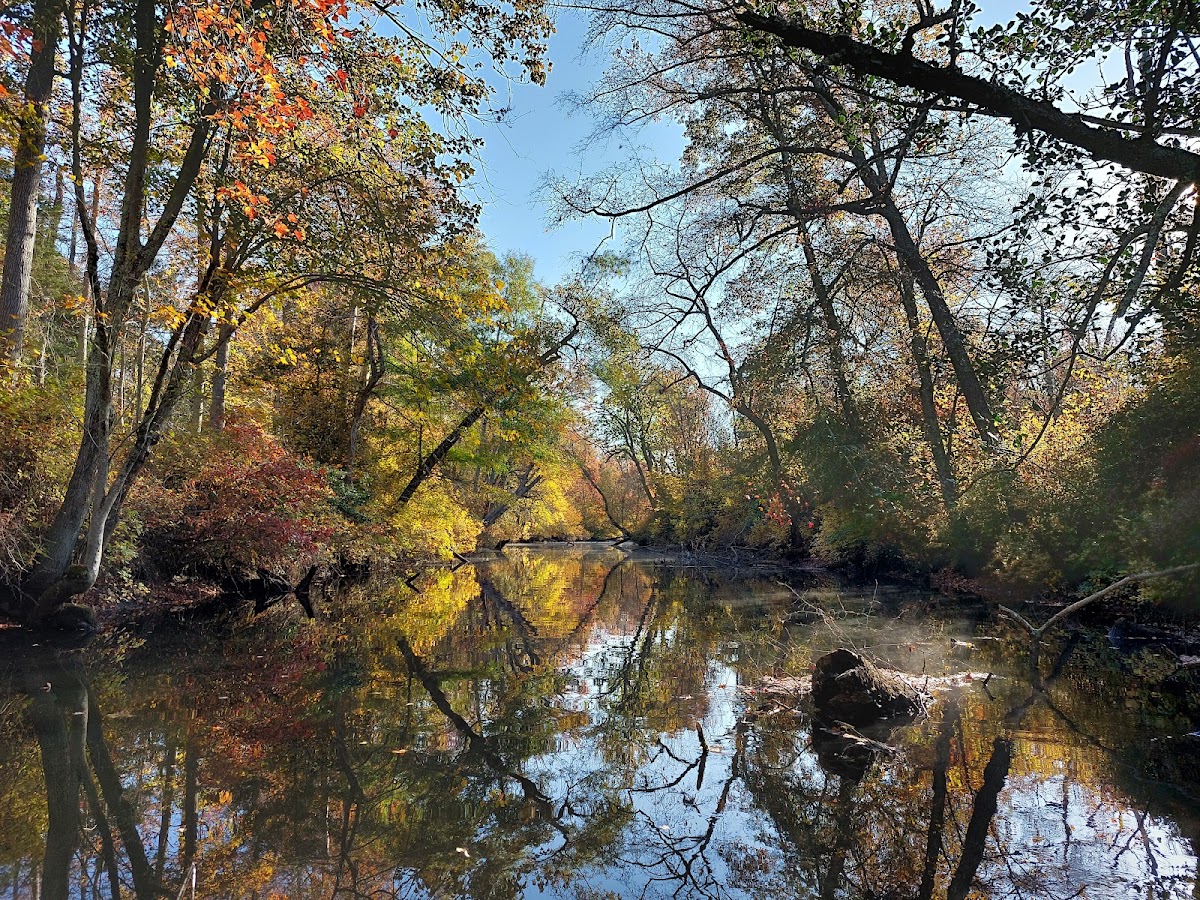 Rancocas Creek