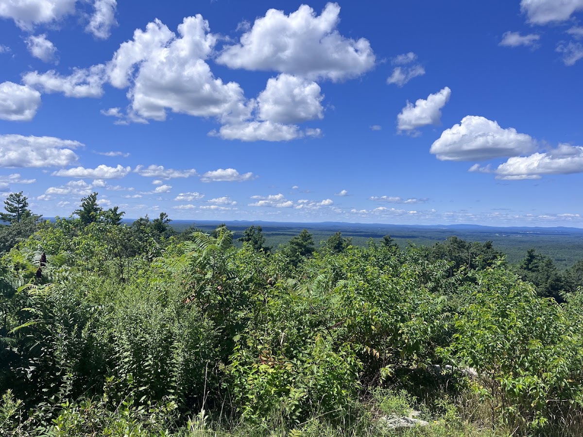 Mount Agamenticus Conservation Region