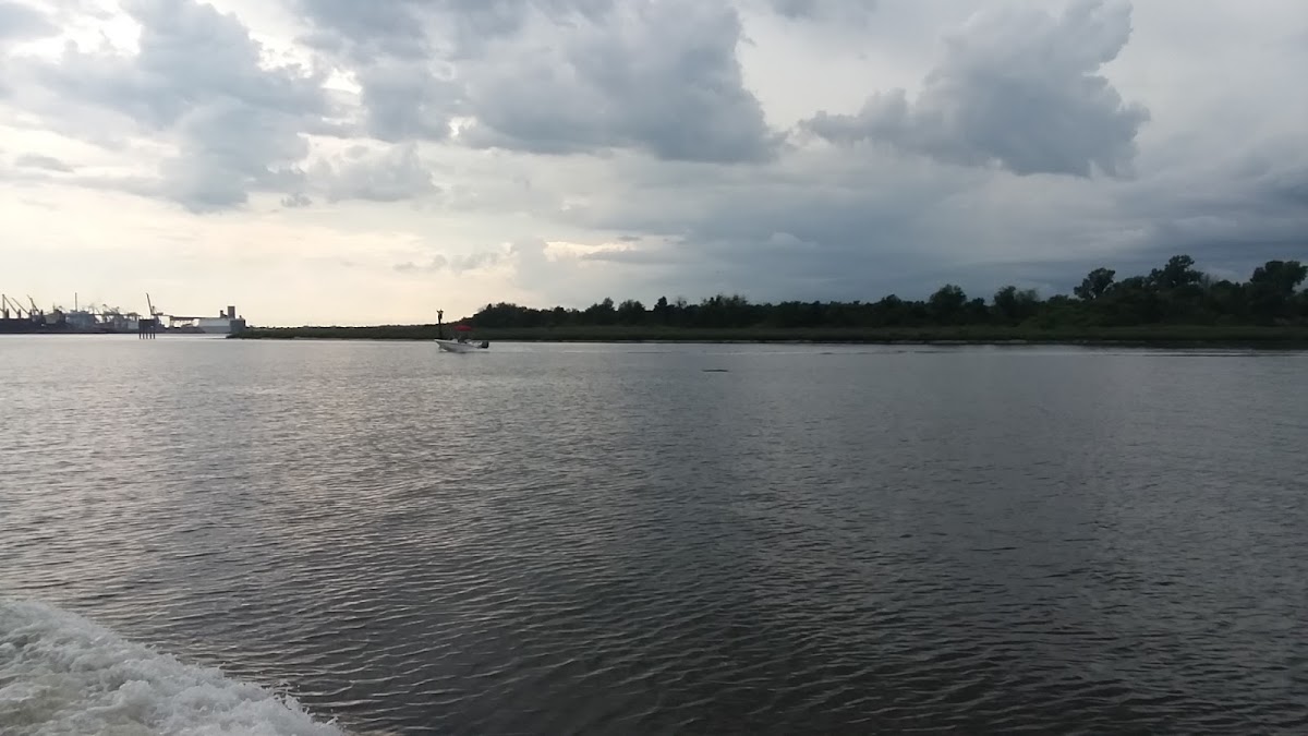 Cooper River