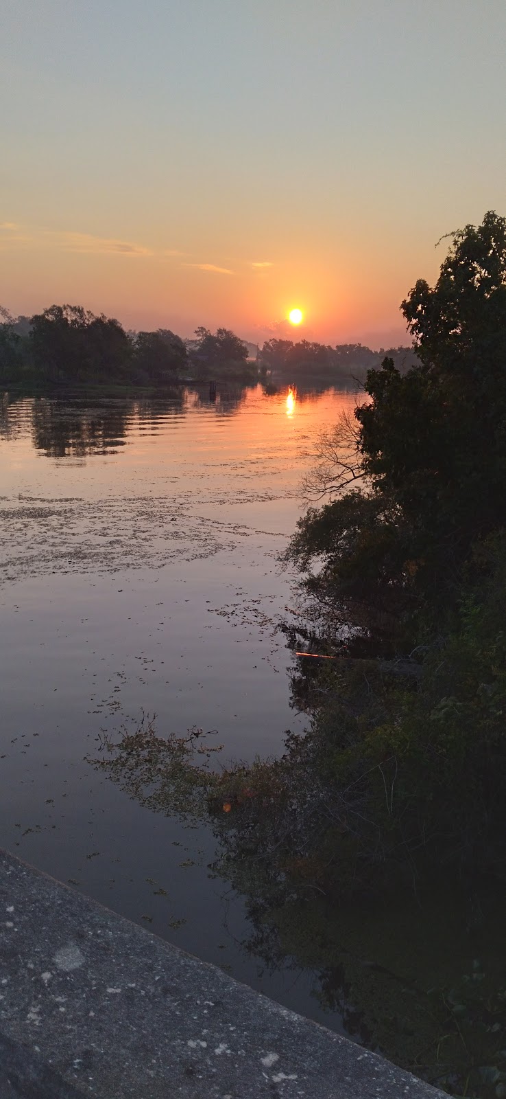 Adams Bayou