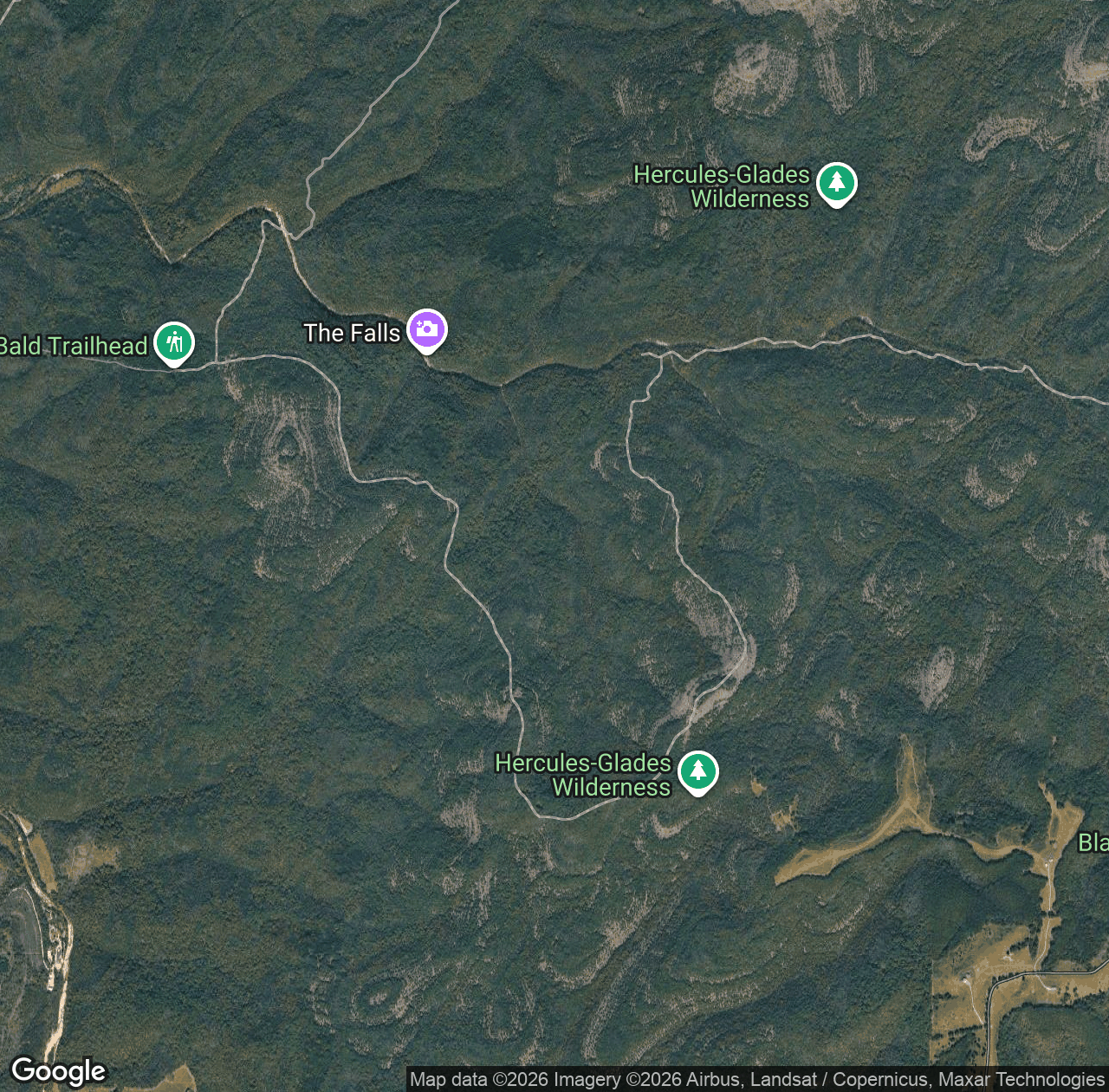 Coy Bald Trail