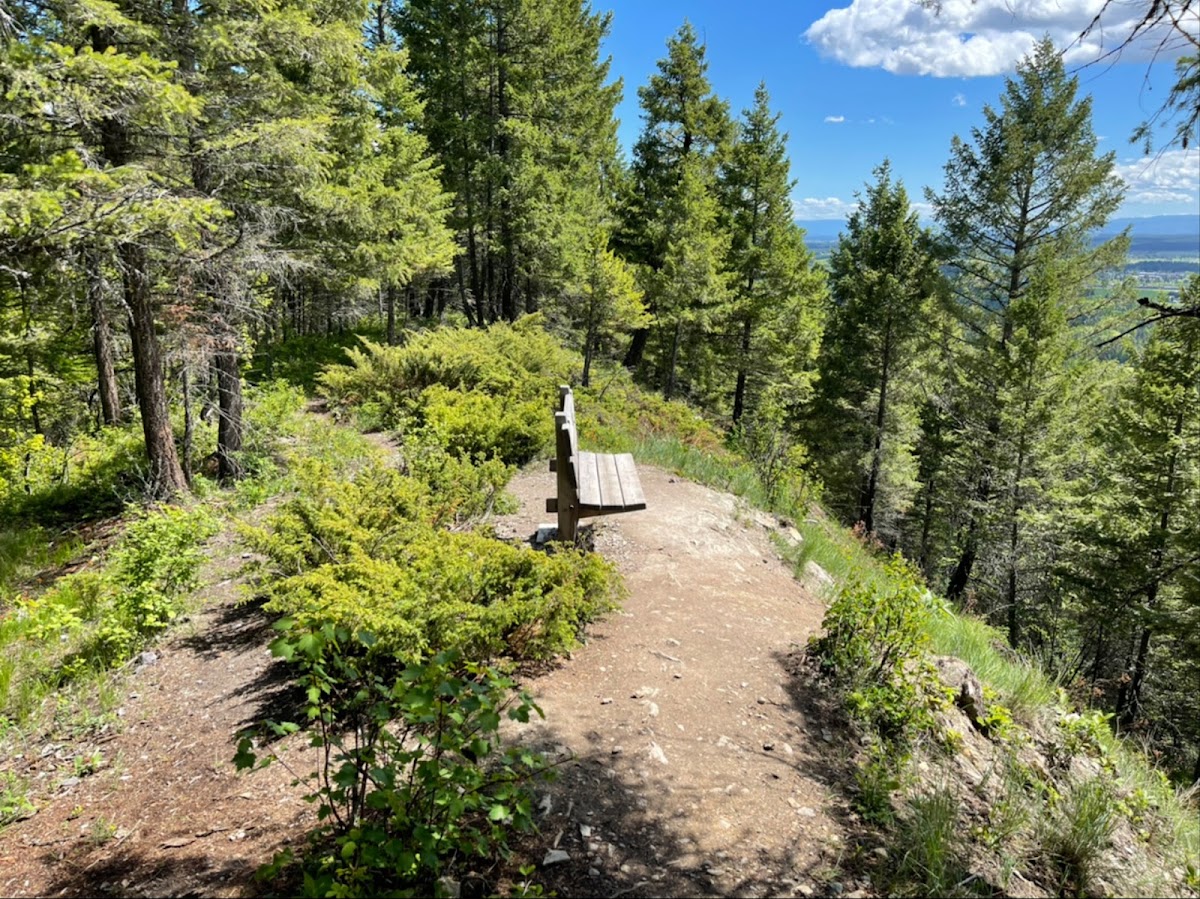 Whitefish Divide Trail
