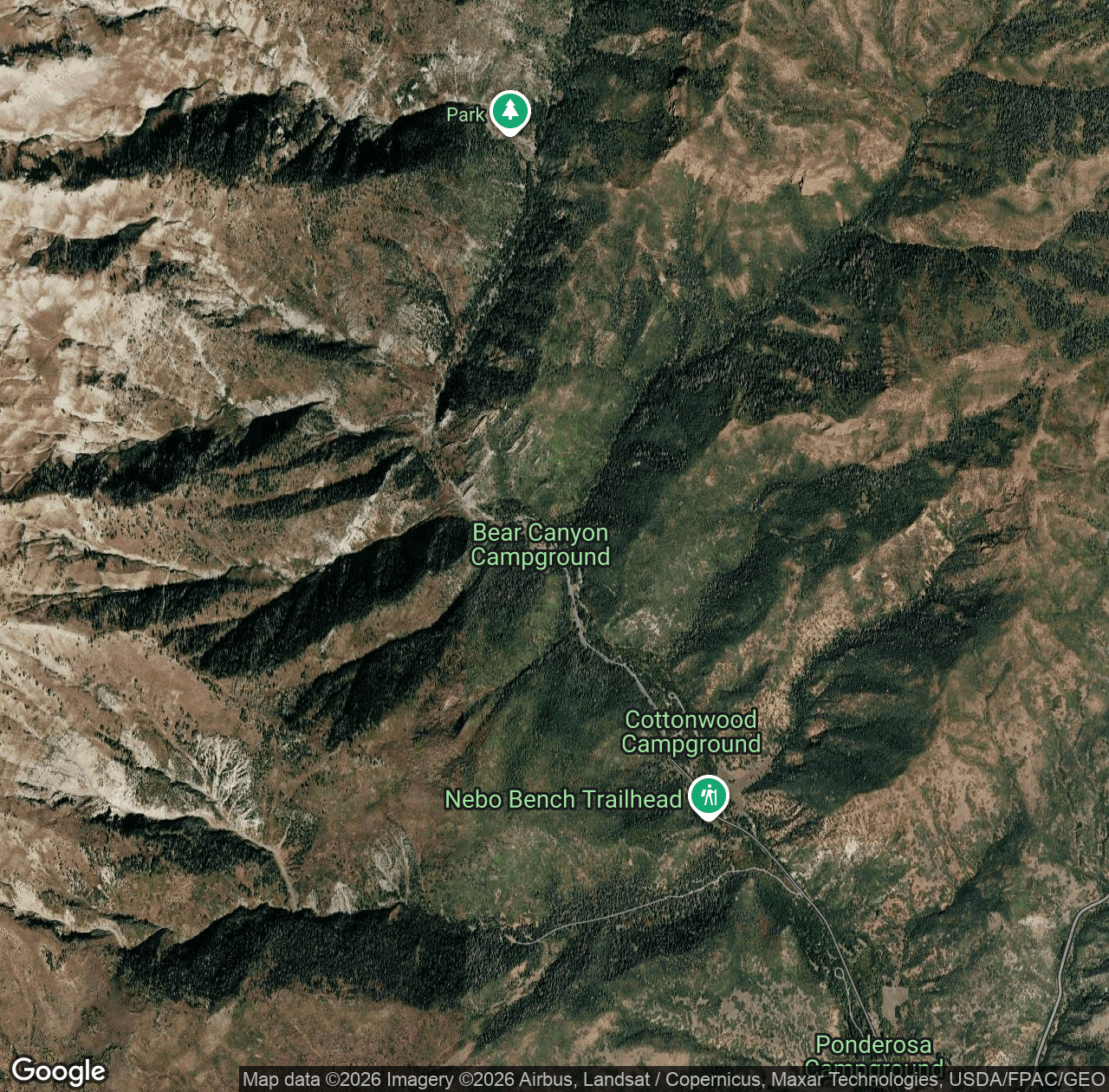 Bear Canyon Trail
