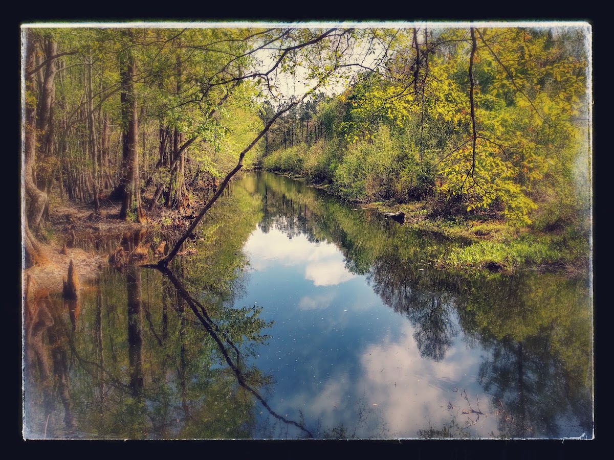 Iron Swamp Road