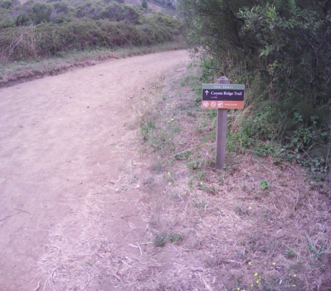 Coyote Ridge Trail