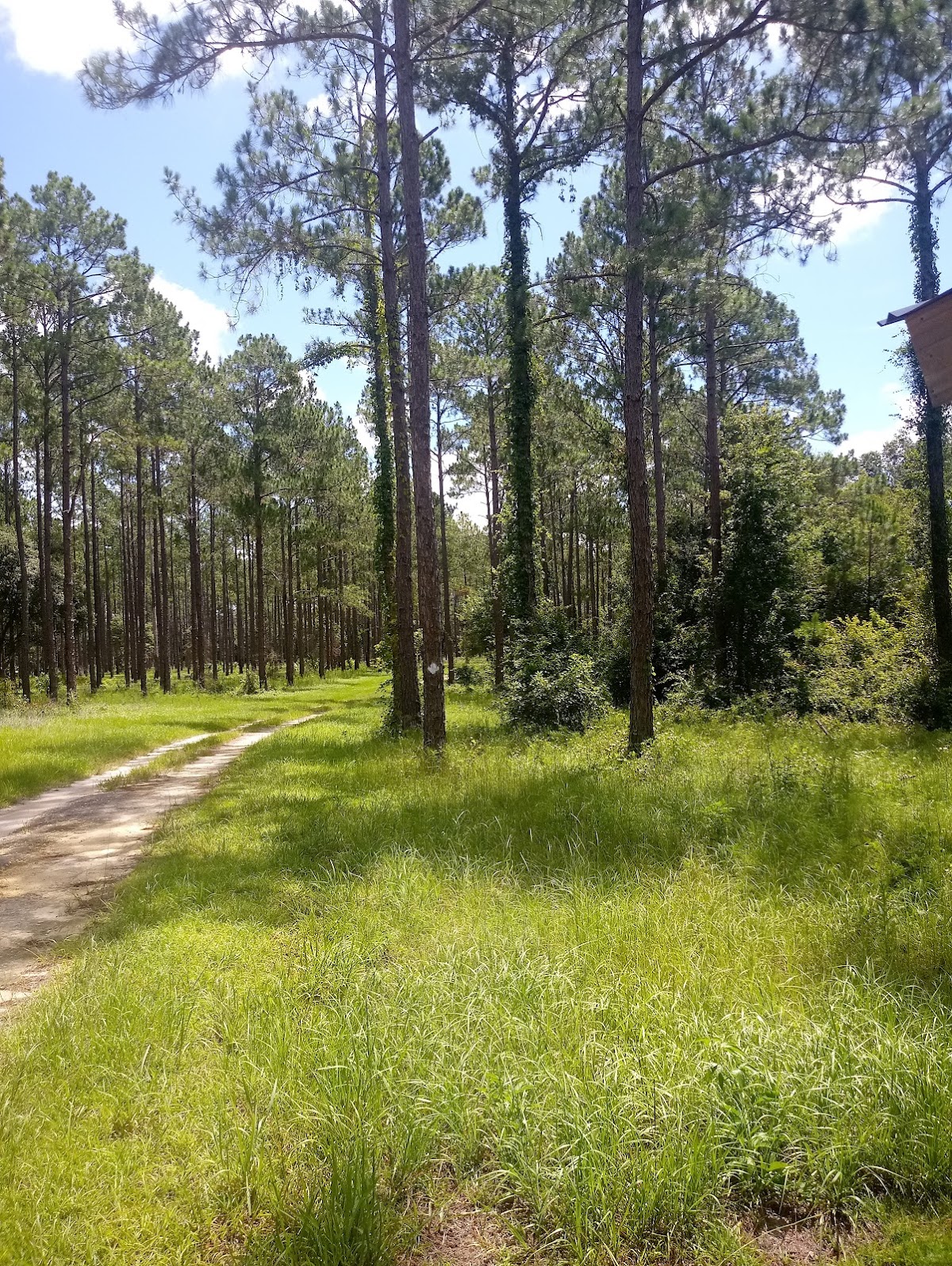 Crescent Lake Conservation Area