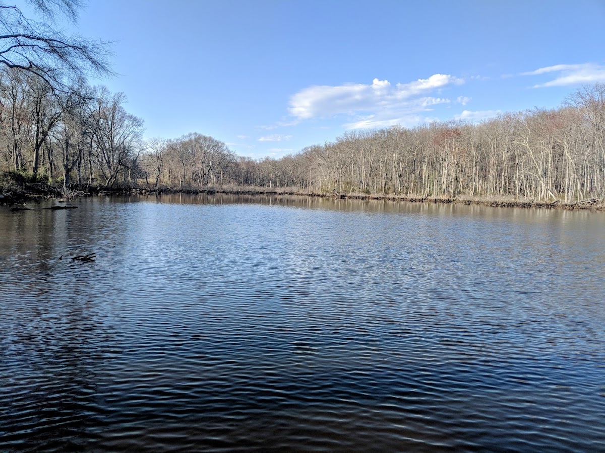 Millstone Park